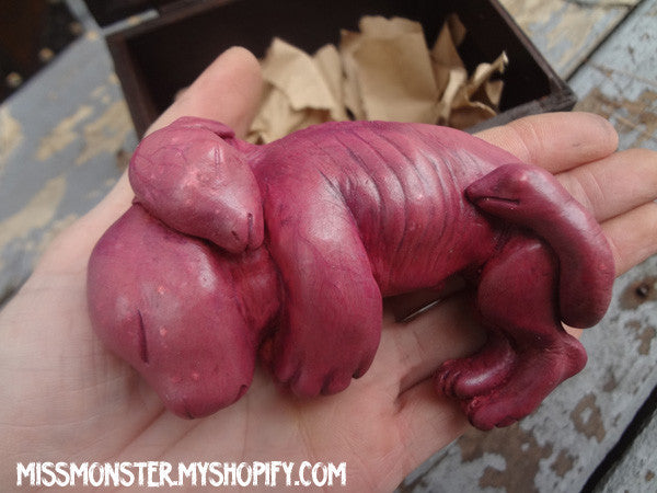 CHIMERA FETUS CASTS WITH BOX