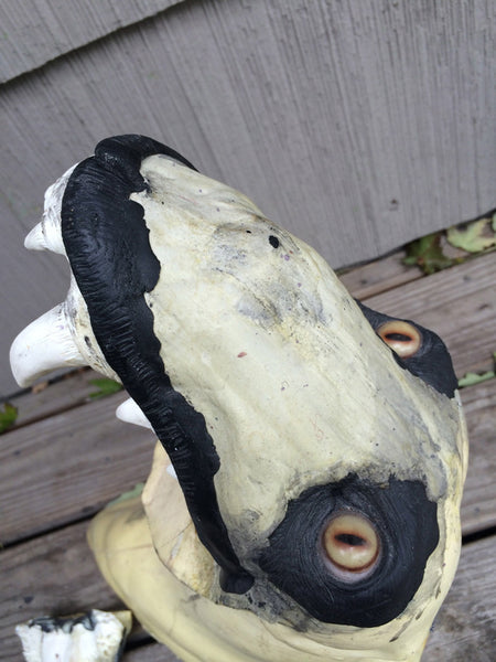 TAXIDERMY FOAM FORM WITH CUSTOM JAW SET