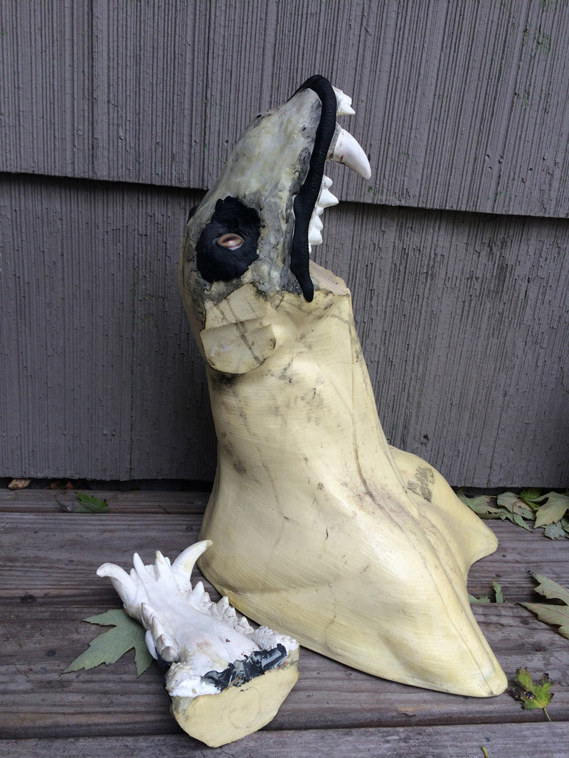 TAXIDERMY FOAM FORM WITH CUSTOM JAW SET